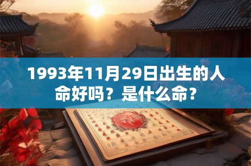 1993年11月29日出生的人命好吗？是什么命？