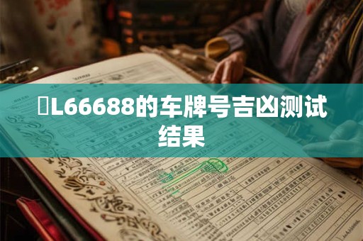 粵L66688的车牌号吉凶测试结果
