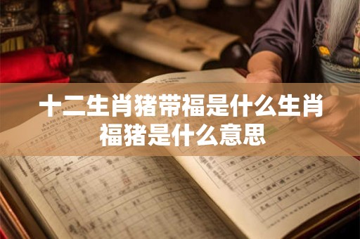 十二生肖猪带福是什么生肖 福猪是什么意思