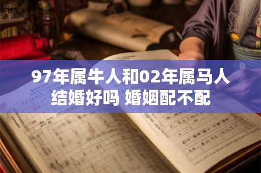 97年属牛人和02年属马人结婚好吗 婚姻配不配