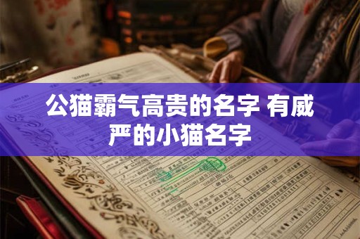 公猫霸气高贵的名字 有威严的小猫名字