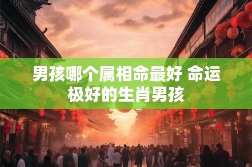 男孩哪个属相命最好 命运极好的生肖男孩
