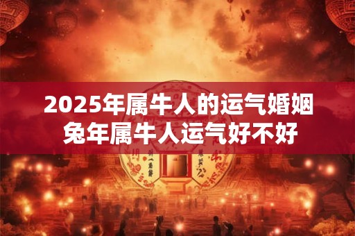 2025年属牛人的运气婚姻 兔年属牛人运气好不好