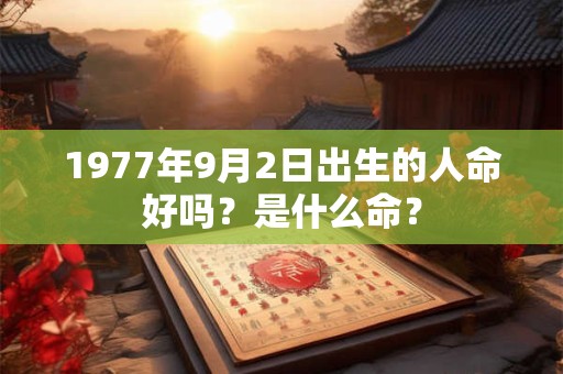 1977年9月2日出生的人命好吗？是什么命？