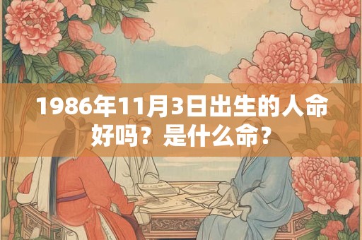1986年11月3日出生的人命好吗？是什么命？