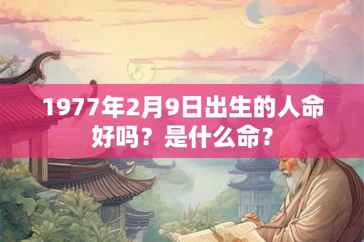 1977年2月9日出生的人命好吗？是什么命？