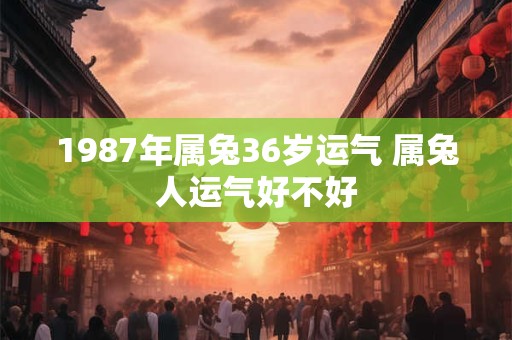 1987年属兔36岁运气 属兔人运气好不好