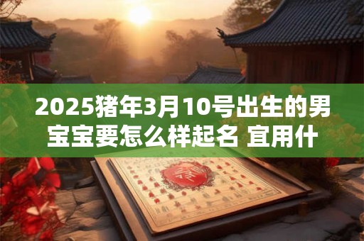 2025猪年3月10号出生的男宝宝要怎么样起名 宜用什么字