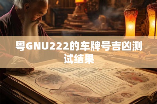 粤GNU222的车牌号吉凶测试结果