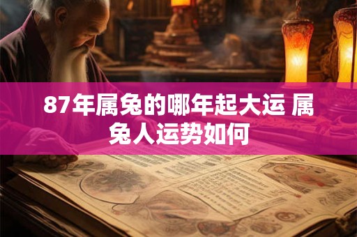 87年属兔的哪年起大运 属兔人运势如何
