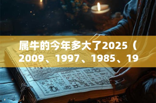 属牛的今年多大了2025（2009、1997、1985、1973、1961）