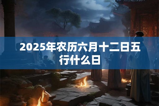 2025年农历六月十二日五行什么日
