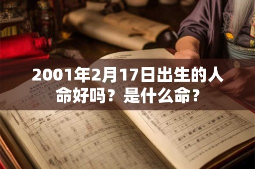 2001年2月17日出生的人命好吗？是什么命？