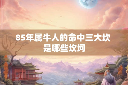 85年属牛人的命中三大坎 是哪些坎坷