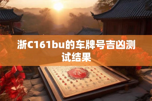 浙C161bu的车牌号吉凶测试结果