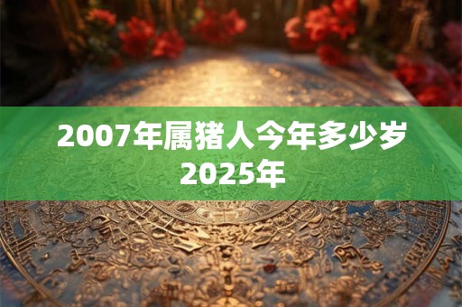 2007年属猪人今年多少岁2025年