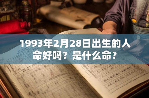 1993年2月28日出生的人命好吗？是什么命？