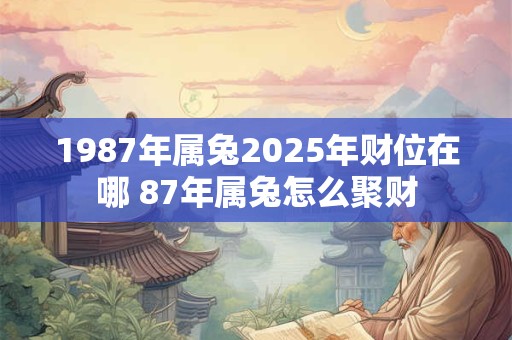 1987年属兔2025年财位在哪 87年属兔怎么聚财