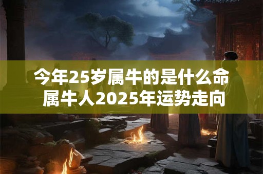 今年25岁属牛的是什么命 属牛人2025年运势走向
