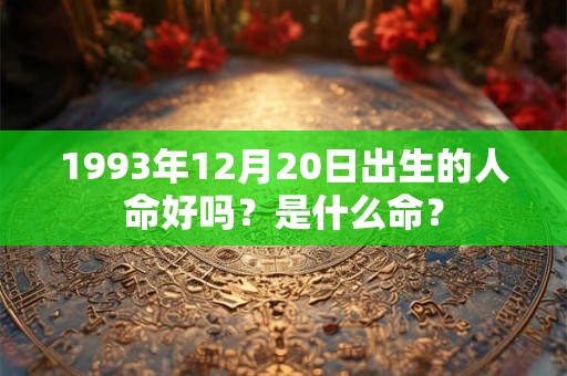 1993年12月20日出生的人命好吗？是什么命？
