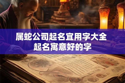属蛇公司起名宜用字大全 起名寓意好的字