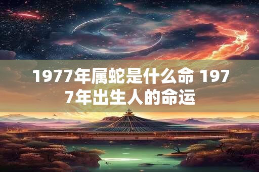 1977年属蛇是什么命 1977年出生人的命运