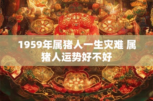 1959年属猪人一生灾难 属猪人运势好不好