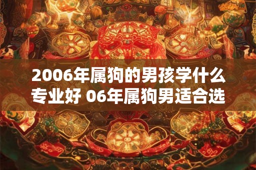 2006年属狗的男孩学什么专业好 06年属狗男适合选的专业
