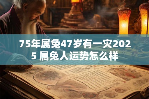 75年属兔47岁有一灾2025 属兔人运势怎么样