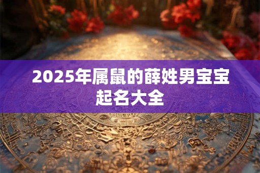 2025年属鼠的薛姓男宝宝起名大全 2025年属鼠的薛姓男宝宝起名大全