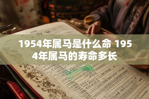 1954年属马是什么命 1954年属马的寿命多长 1954年属马是什么命 1954年属马的寿命多长