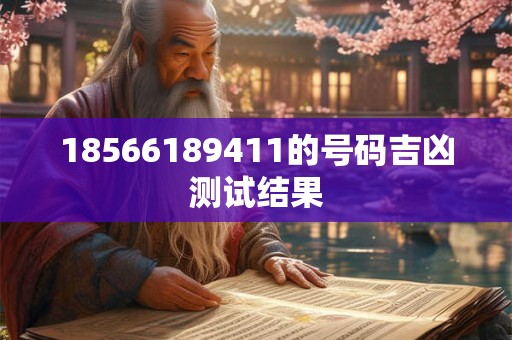 18566189411的号码吉凶测试结果