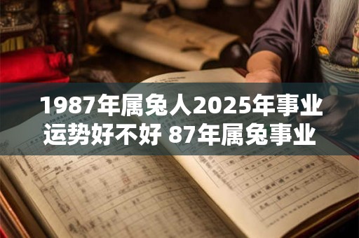 1987年属兔人2025年事业运势好不好 87年属兔事业贵人