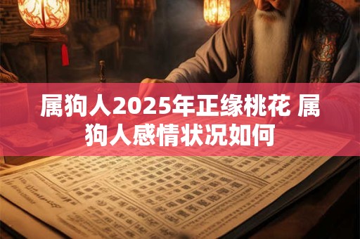 属狗人2025年正缘桃花 属狗人感情状况如何