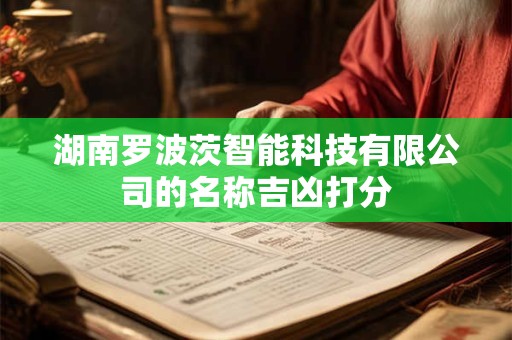 湖南罗波茨智能科技有限公司的名称吉凶打分