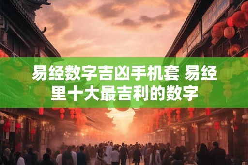 易经数字吉凶手机套 易经里十大最吉利的数字