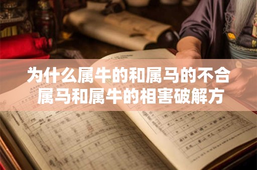 为什么属牛的和属马的不合 属马和属牛的相害破解方法是什么