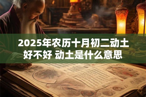 2025年农历十月初二动土好不好 动土是什么意思