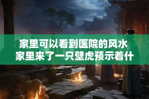 家里可以看到医院的风水 家里来了一只壁虎预示着什么风水