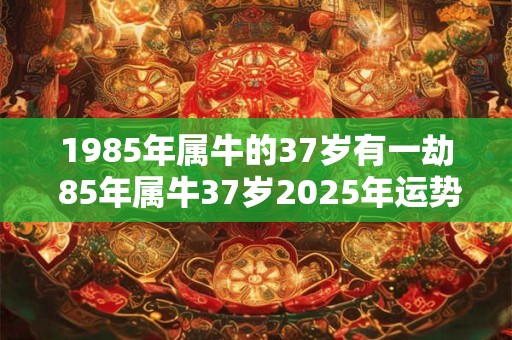 1985年属牛的37岁有一劫 85年属牛37岁2025年运势