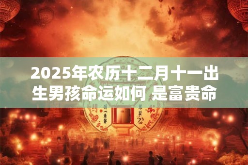 2025年农历十二月十一出生男孩命运如何 是富贵命吗