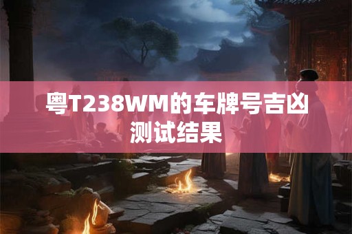 粤T238WM的车牌号吉凶测试结果