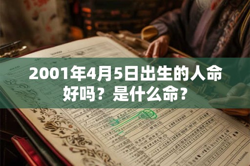 2001年4月5日出生的人命好吗？是什么命？
