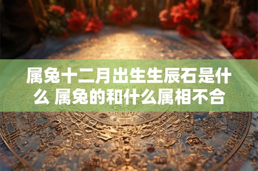 属兔十二月出生生辰石是什么 属兔的和什么属相不合 属兔十二月出生生辰石是什么 属兔的和什么属相不合