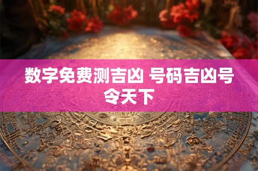 数字免费测吉凶 号码吉凶号令天下
