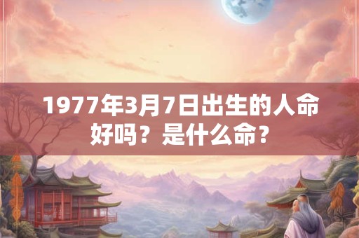1977年3月7日出生的人命好吗？是什么命？