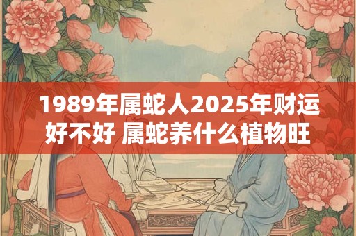 1989年属蛇人2025年财运好不好 属蛇养什么植物旺财