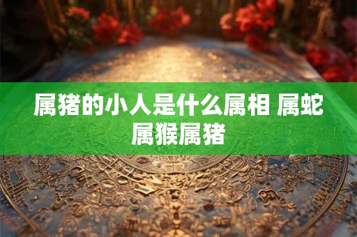 属猪的小人是什么属相 属蛇属猴属猪