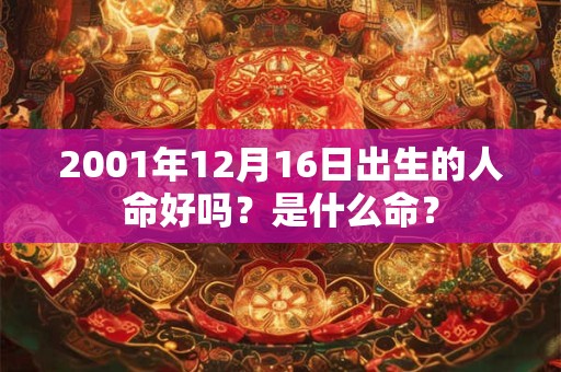 2001年12月16日出生的人命好吗？是什么命？