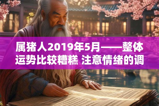 属猪人2019年5月——整体运势比较糟糕 注意情绪的调整